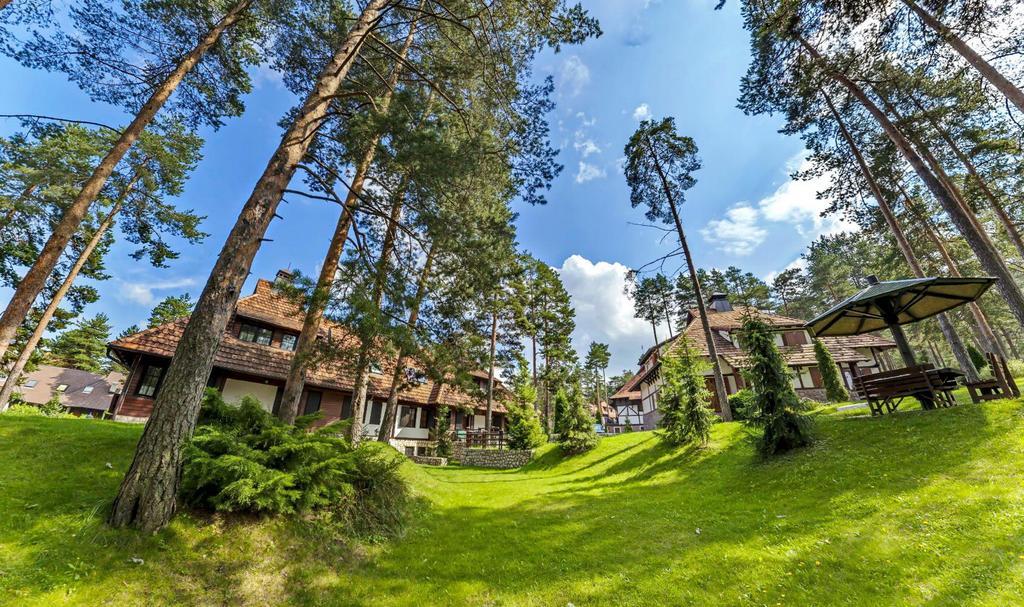 Kraljevi Konaci - Najam Kuca Na Zlatiboru Apartamento Exterior foto