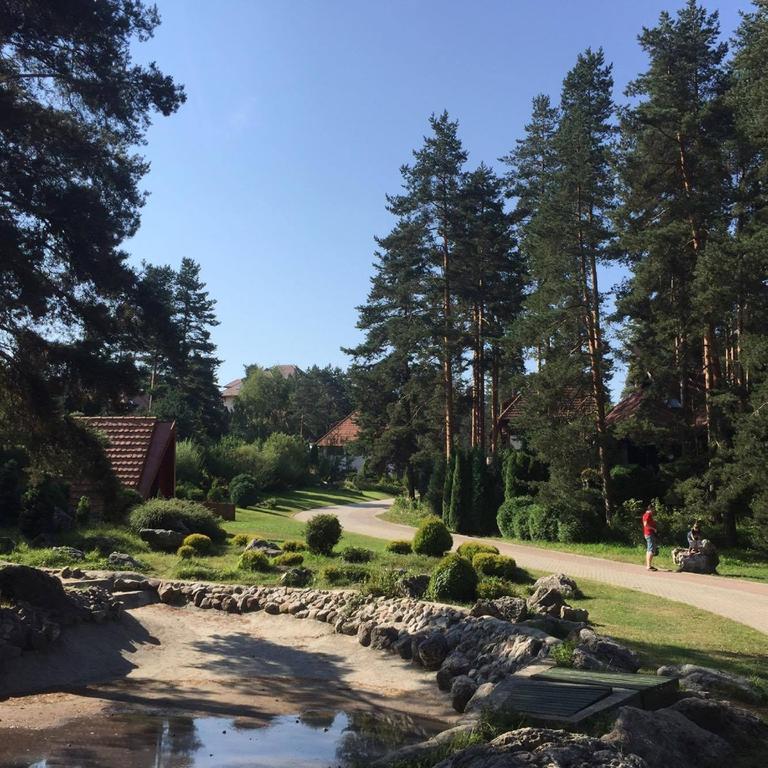Kraljevi Konaci - Najam Kuca Na Zlatiboru Apartamento Exterior foto